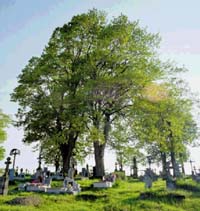 Odrestaurowany cmentarz w Hańczowej